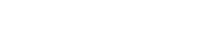 SYNERGY A.I
